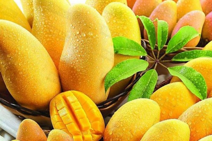 Top Tips for Mango Buyers: Sourcing the Best Mangoes