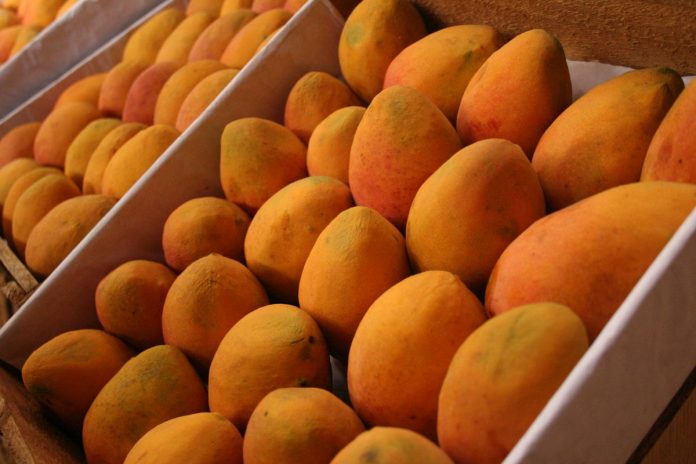 Where To Find Mango Exporters Globally?