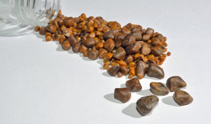 How To Get Benefits From Ox Gallstone